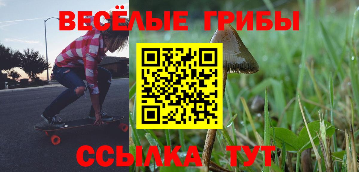 Воронеж  Псилоцибиновые грибы Cubensis  где продают   Вход с VPN  Псилоцибиновые грибы GOLDEN TEACHER 